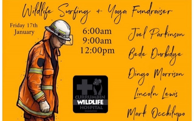 SURFING SERVICES WILDLIFE FUNDRAISER