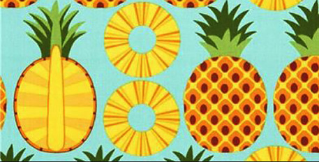 Pineapples ‘n’ Palms art exhibition by Jenny Midson and Pamela Oberman